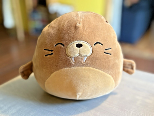 Squishmallow bruce the - 8",